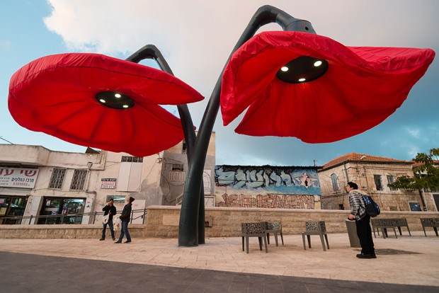 Džinovsko cveće oživelo trg u centru Jerusalima